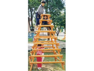 High Quality Kids Wooden Climbing Frame for Sale MP-020